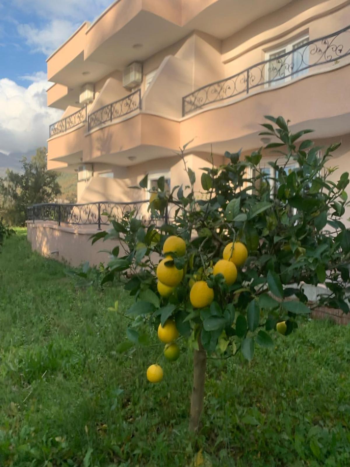 Guesthouse P&A Budva Exterior photo