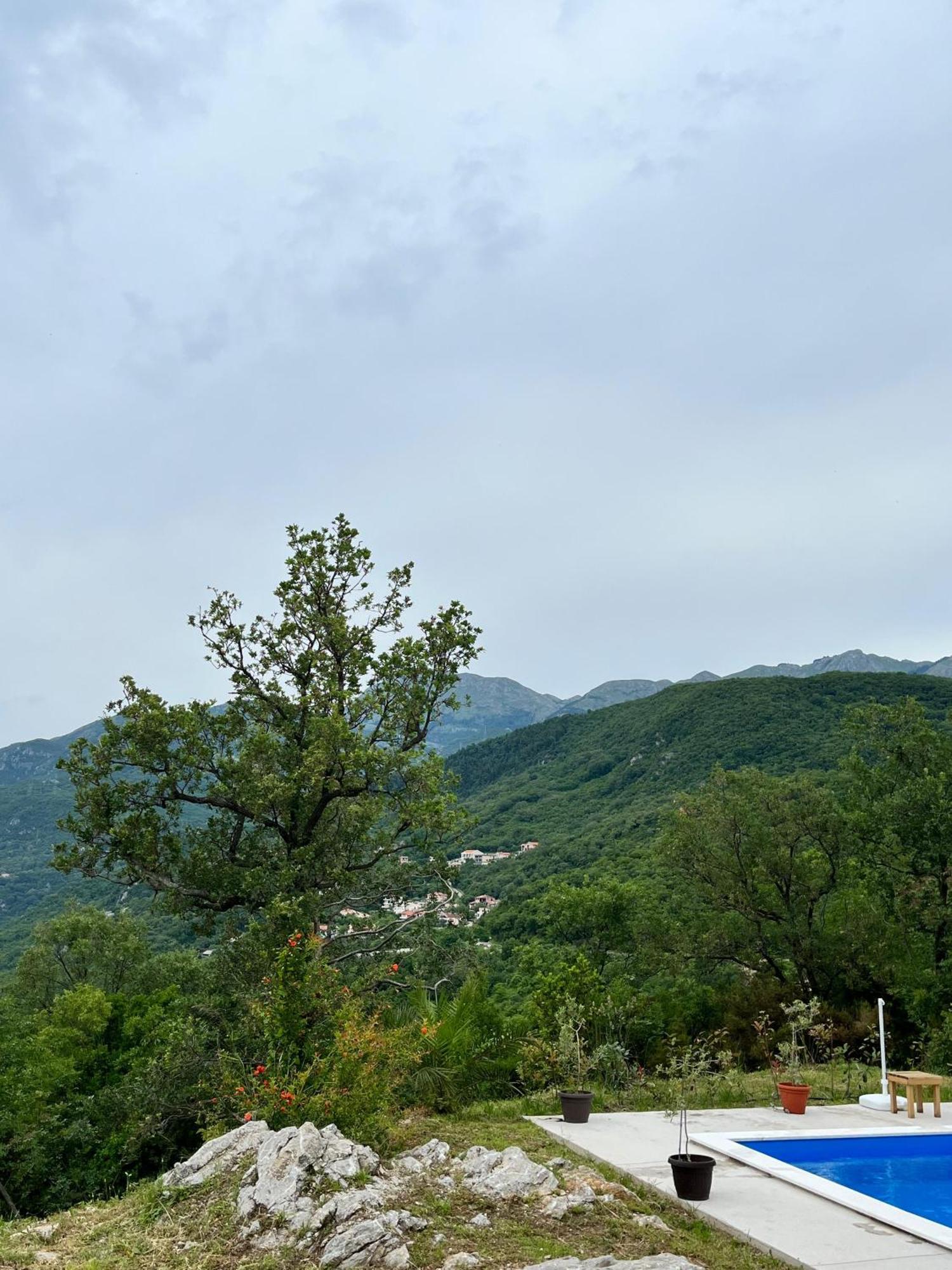 Guesthouse P&A Budva Room photo